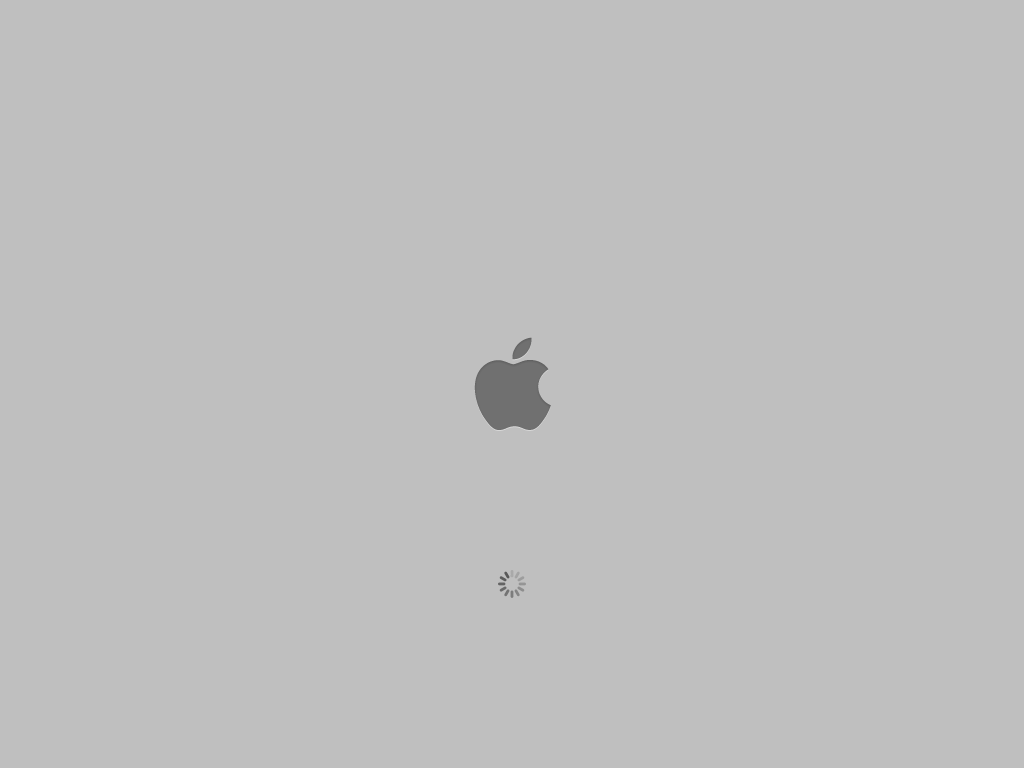 Mac OS X 10.3 Panther Gray Boot Screen (2003)